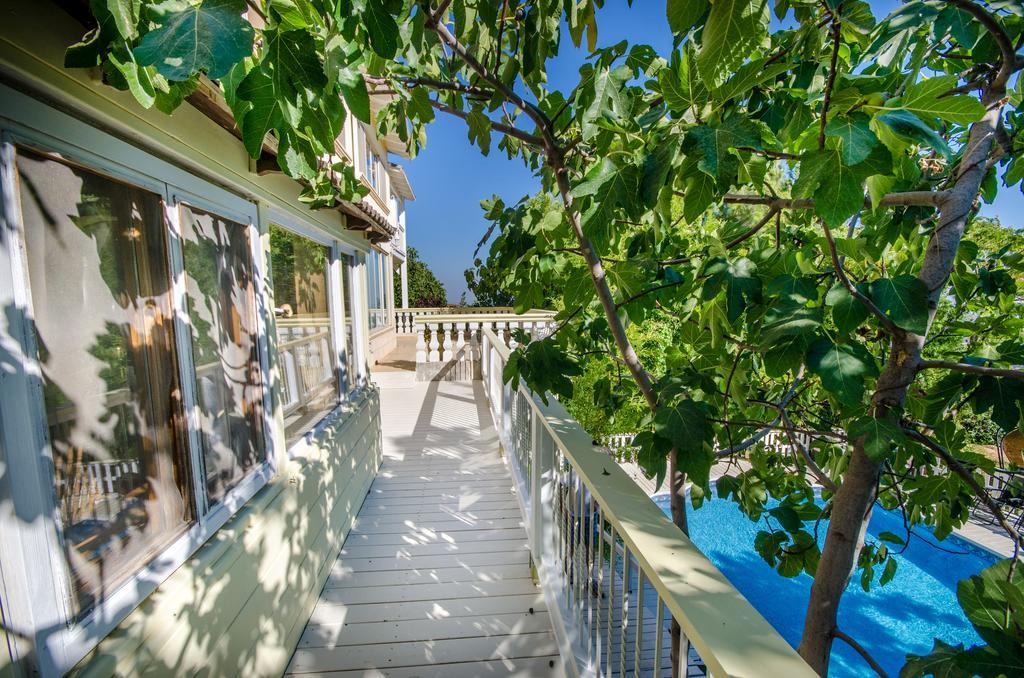Ha'Seuda Ha'Achrona Suites Amirim Εξωτερικό φωτογραφία